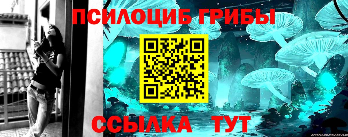 Галлюциногенные грибы прущие грибы Мценск