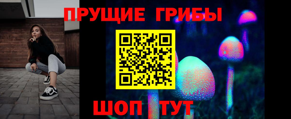 Псилоцибиновые грибы мухоморы  Вход с VPN  Мценск  Псилоцибиновые грибы прущие грибы 